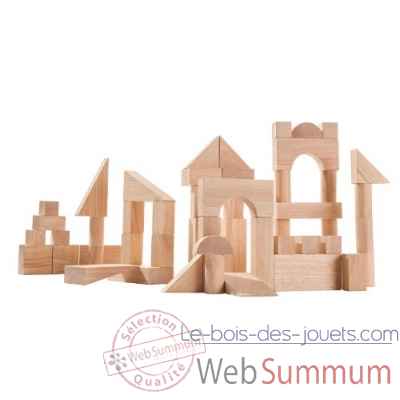 Blocs de construction 50 pieces Plan Toys -5502
