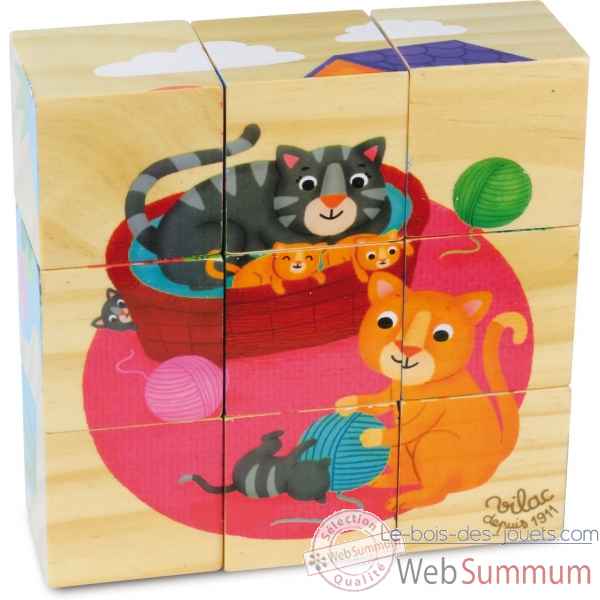 9 cubes en bois animaux vilac -2406